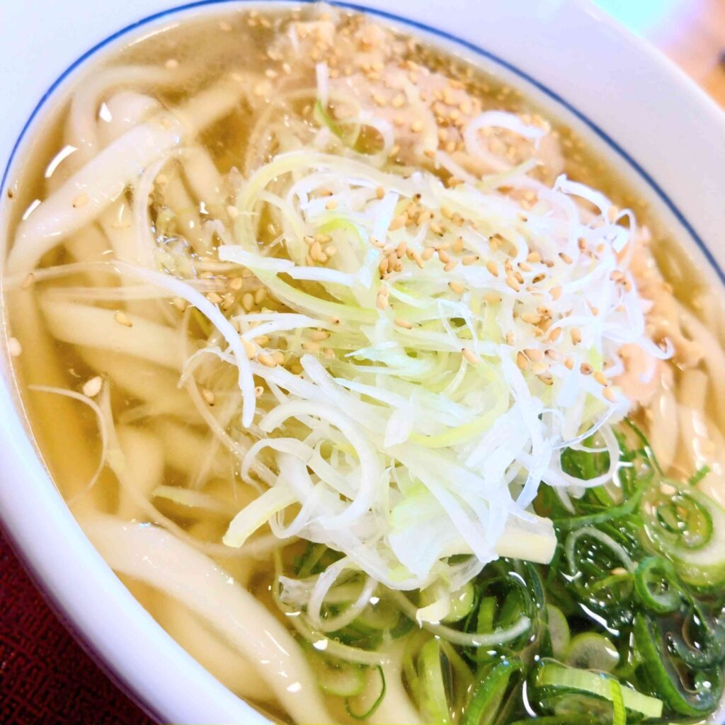鶏塩うどん